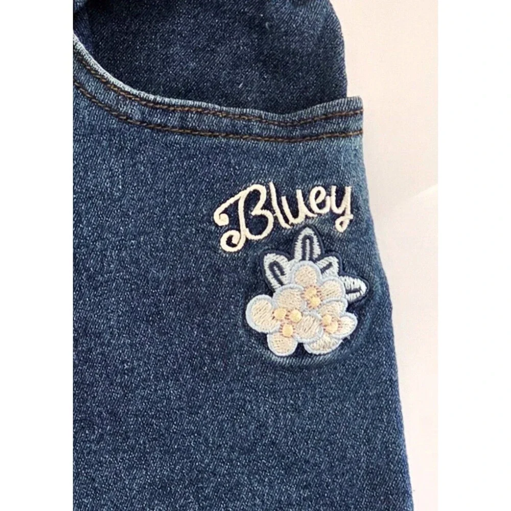 Bluey girls 5t